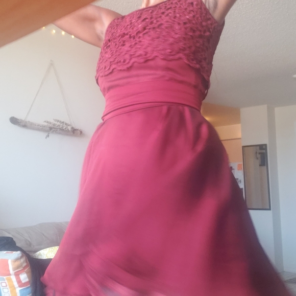 Red Silk Lace and Tissue Frock - Picture 2 of 4